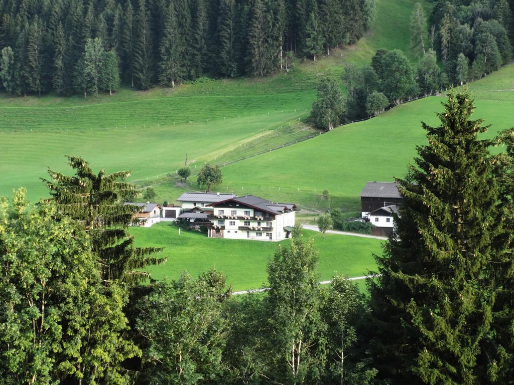 Appartement Greti Schladming Værelse billede